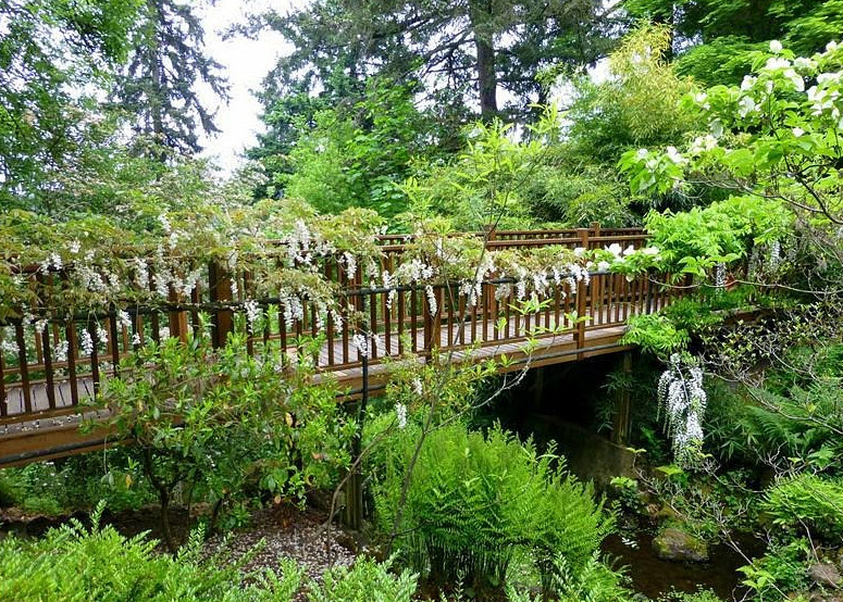Elk Rock Garden, United States